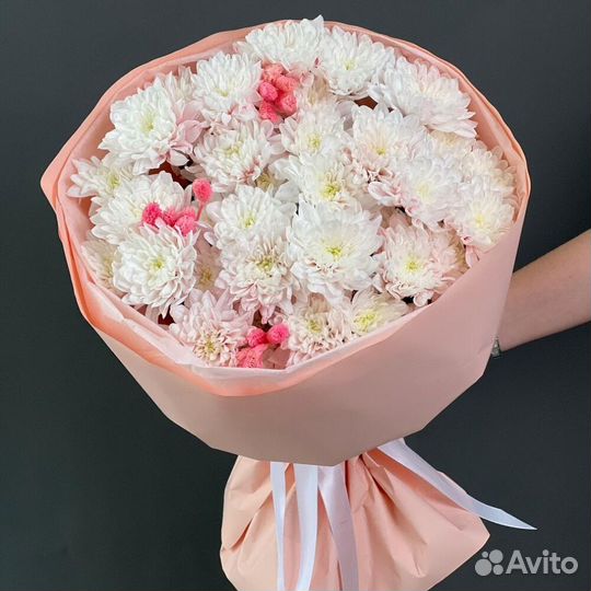 Хризантема 