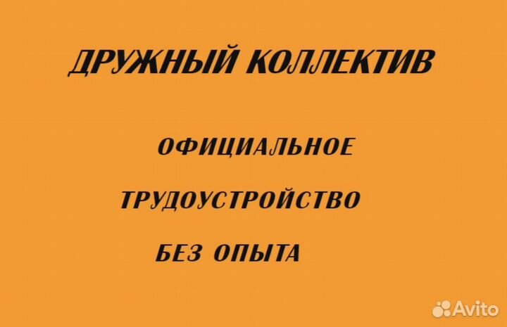 Молодой специалист 41