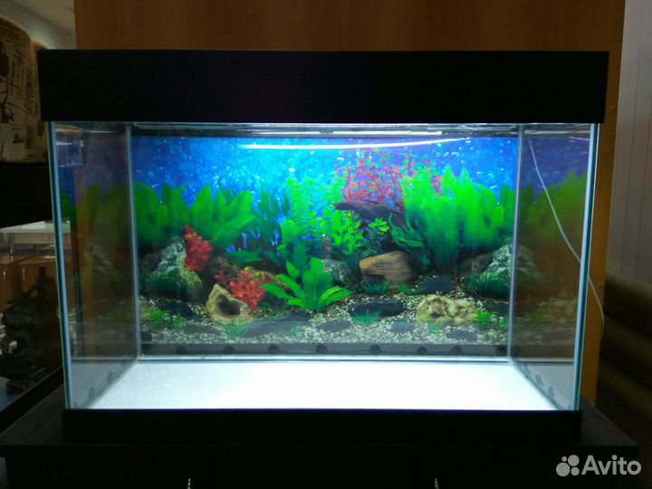 Аквариум