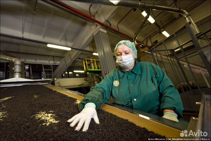 Комплектовщица на производство чая. Вахта