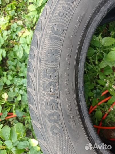 Barum Bravuris 205/55 R16