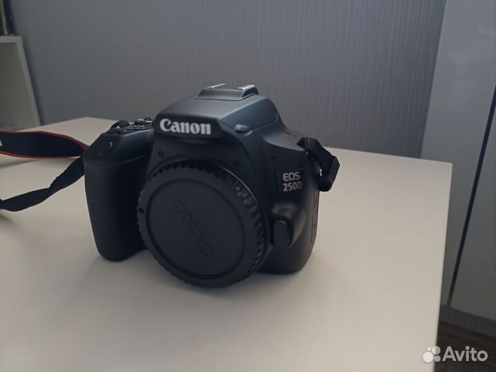 Зеркальный фотоаппарат canon eos 250d