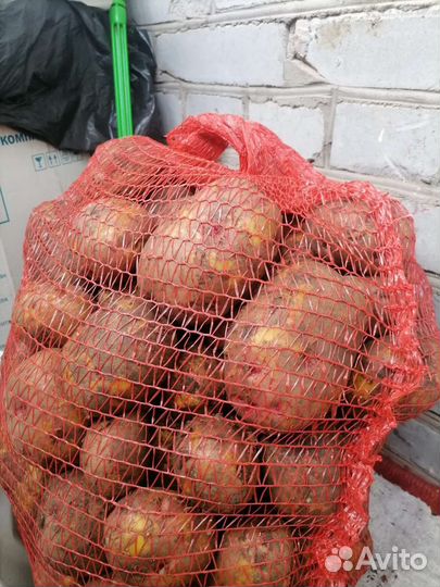 Продам картофель