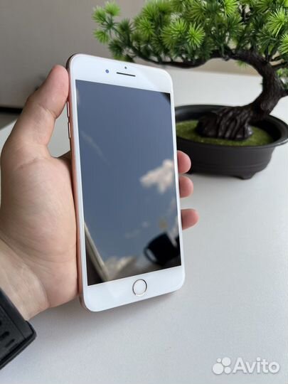 iPhone 8 Plus 128