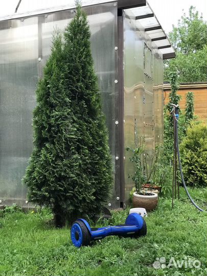 Гироскутер