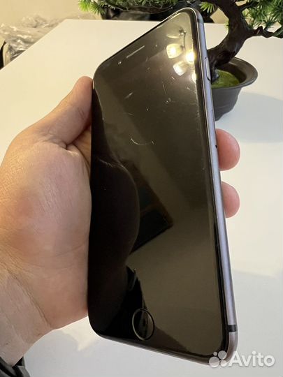 iPhone 8