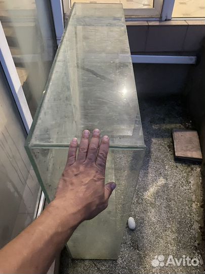 Террариум, аквариум для устриц