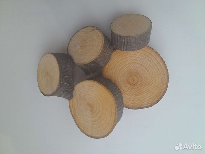 Торцевые спилы рябины