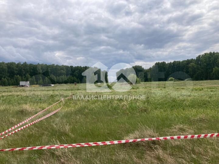 Участок 12 сот. (СНТ, ДНП)