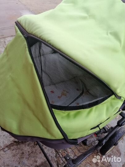 Коляска roan marita 2 в 1