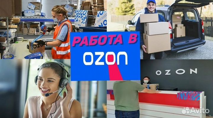 Оператор пвз озон