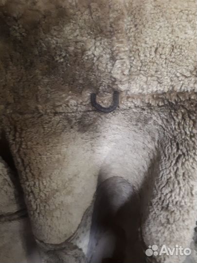 Дубленка зимняя