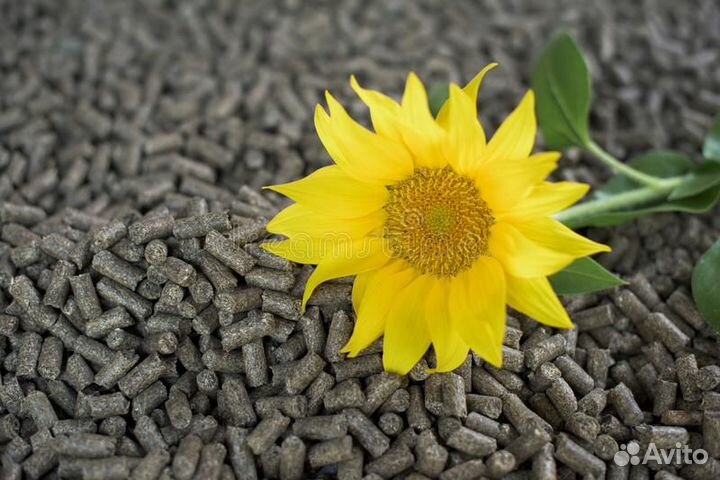 Лучшие Пеллеты из подсолнечника От Производителя