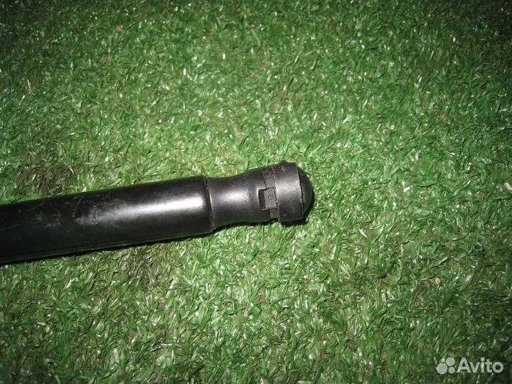 Амортизатор багажника Ford Focus 2 (CB4) 2005