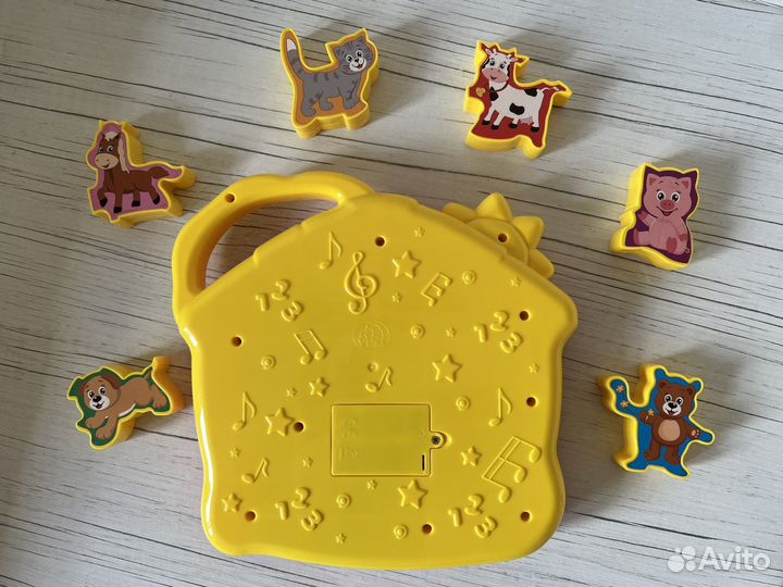 Сортер домик музыкальный