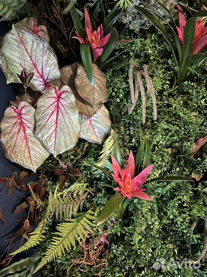 Фитостена из искусственных растений