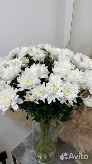 Букеты из Хризантем