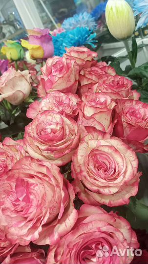 Свежие цветы