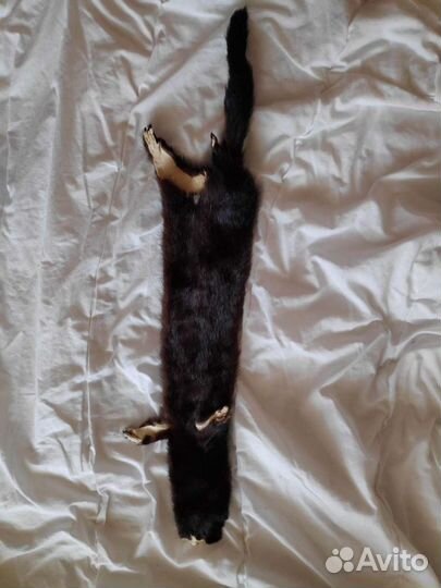 Шкурка норки, СССР