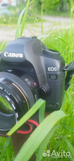 Canon 5d mark ii body