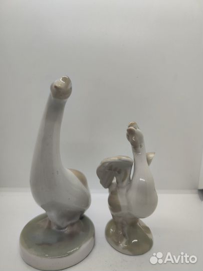 Гуси Городница