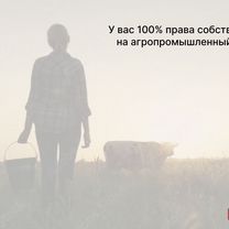 Аграрный портал в городе Алчевск, Алчевск