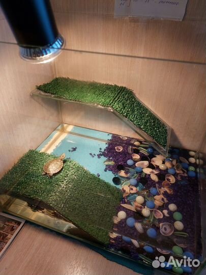 Террариум для черепашки, с уф лампой и горками
