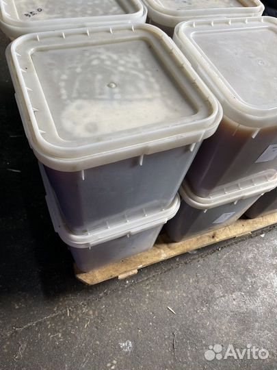 Свежий гречишный мёд оптом