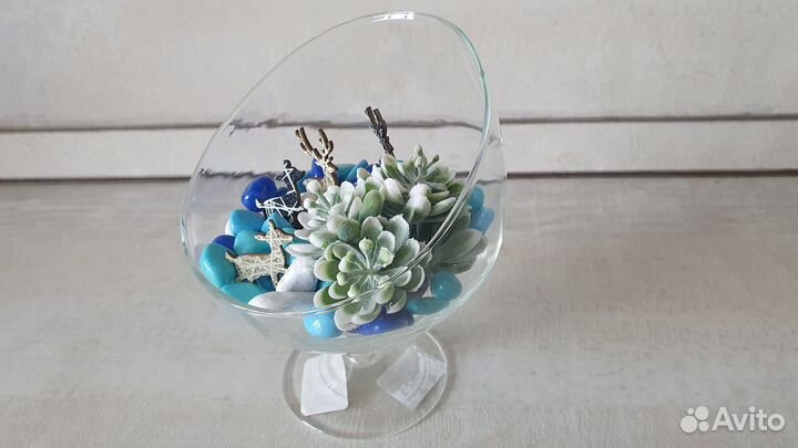 Флорариум новый