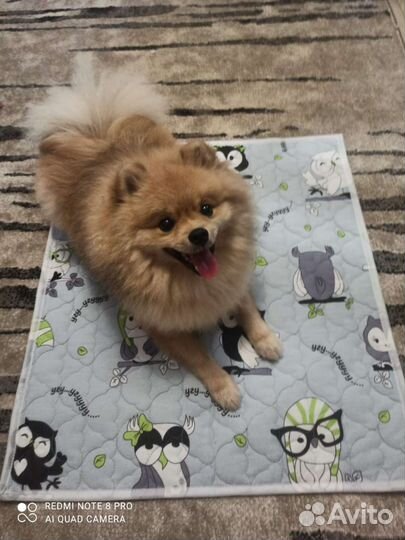 Многоразовые пеленки с непромокаемым нижним слоем