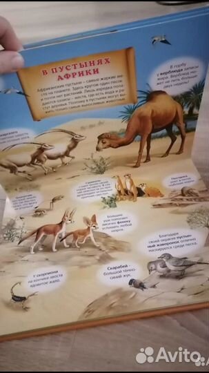 Книга музыкальная