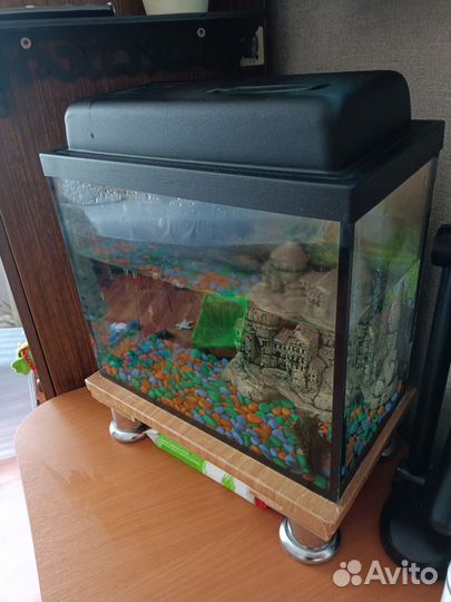 Аквариум