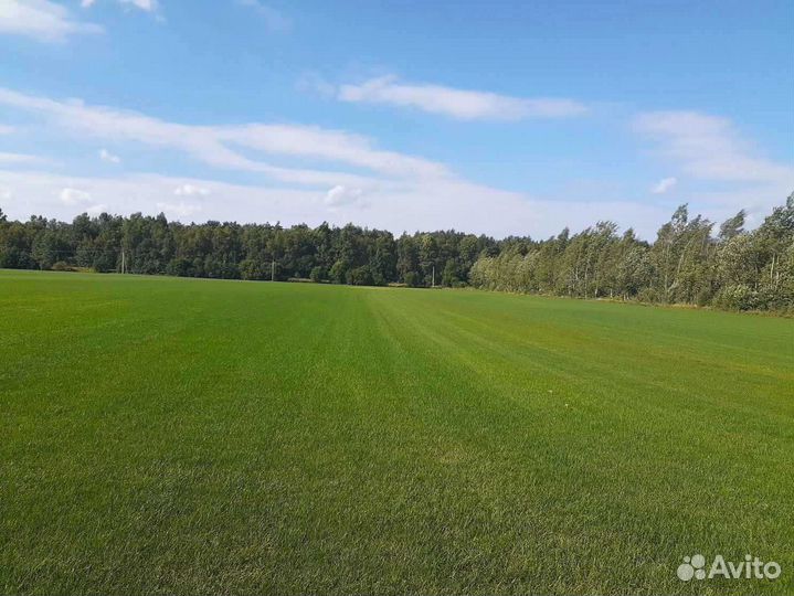 Укладка газона