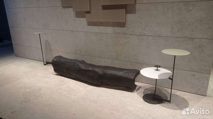 Сухие Ветки, Деревья, Коряги, Бревна