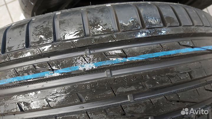 Nokian Tyres Hakka Blue 2 205/65 R16 99V