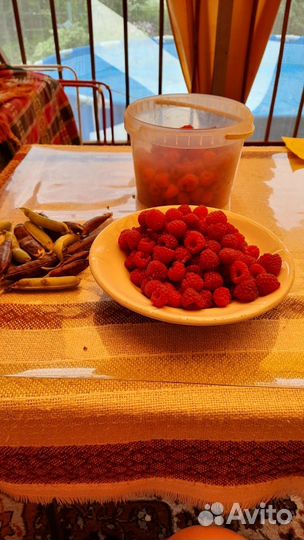 Саженцы малины