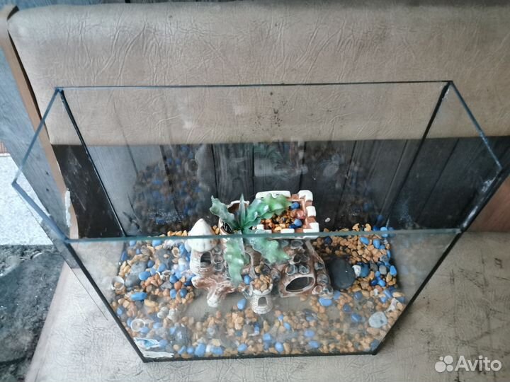 Аквариум