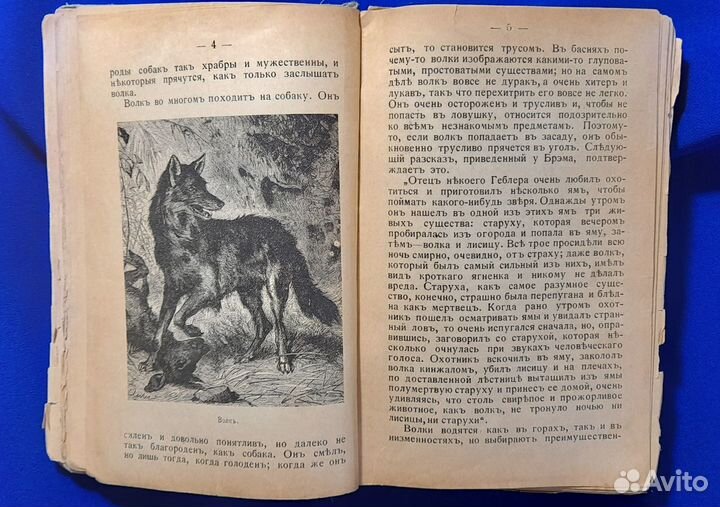 Мир животных. Э. Пименова 1902 г. В 3-х частях. R