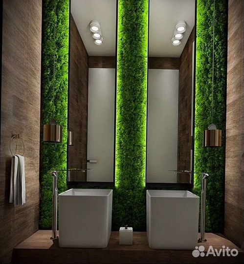 Стабилизированный мох