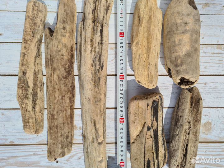 Морские коряги дрифтвуд набор