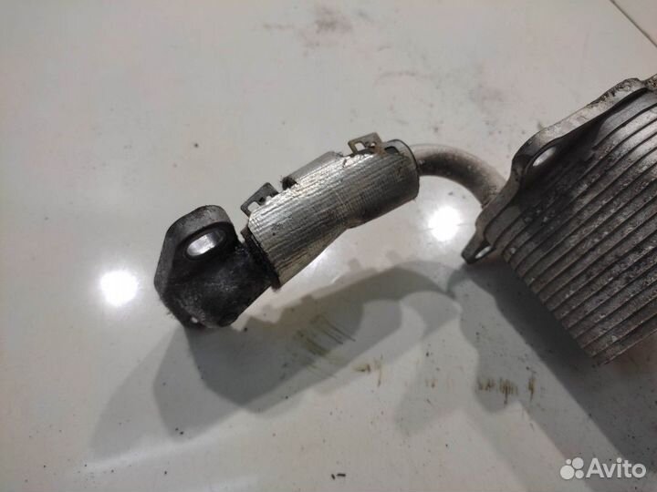 Радиатор масляный (Toyota Hilux viii)