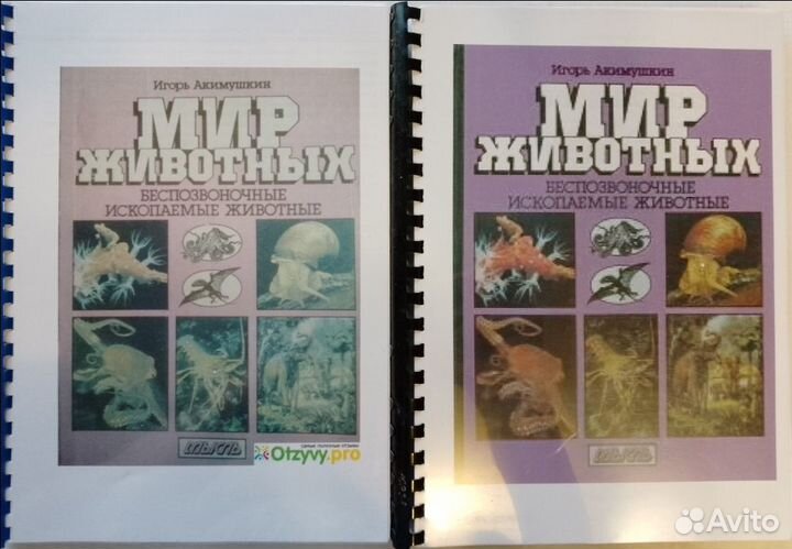 Бионаучпоп: Акимушкин, Докинз. Учебники Экология