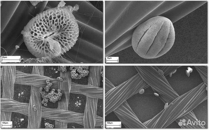 Услуги сканирующей электронной микроскопии (SEM)