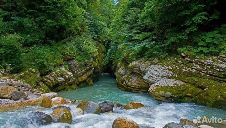 Экскурсии по абхазии