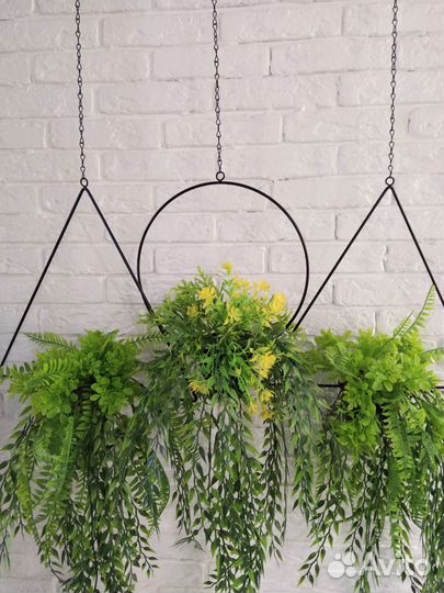 Вьюн, искуственое озеленение