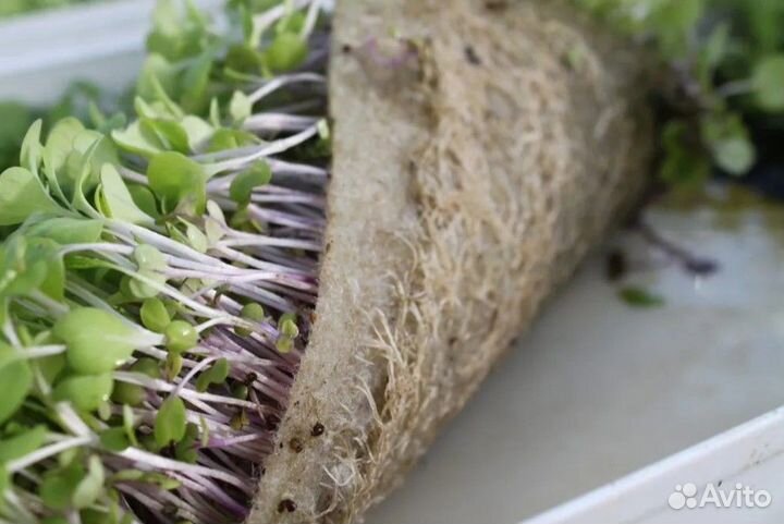 Коврики для микрозелени джутовые 10 шт, 15*10 см