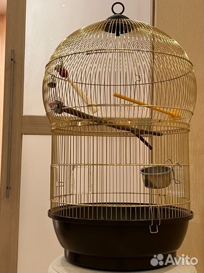 Клетка для крупного попугая