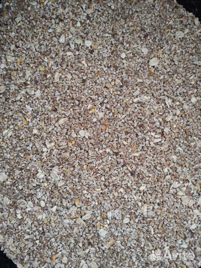 Корм для собак