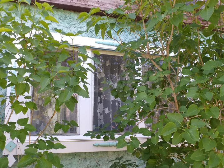 Дача 40 м² на участке 5 сот.