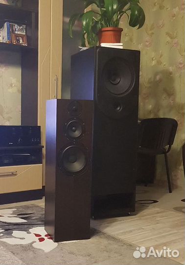 Реставрация и изготовление акустики